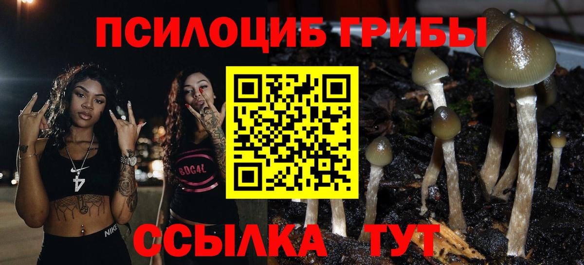 Псилоцибиновые грибы ЛСД Воркута