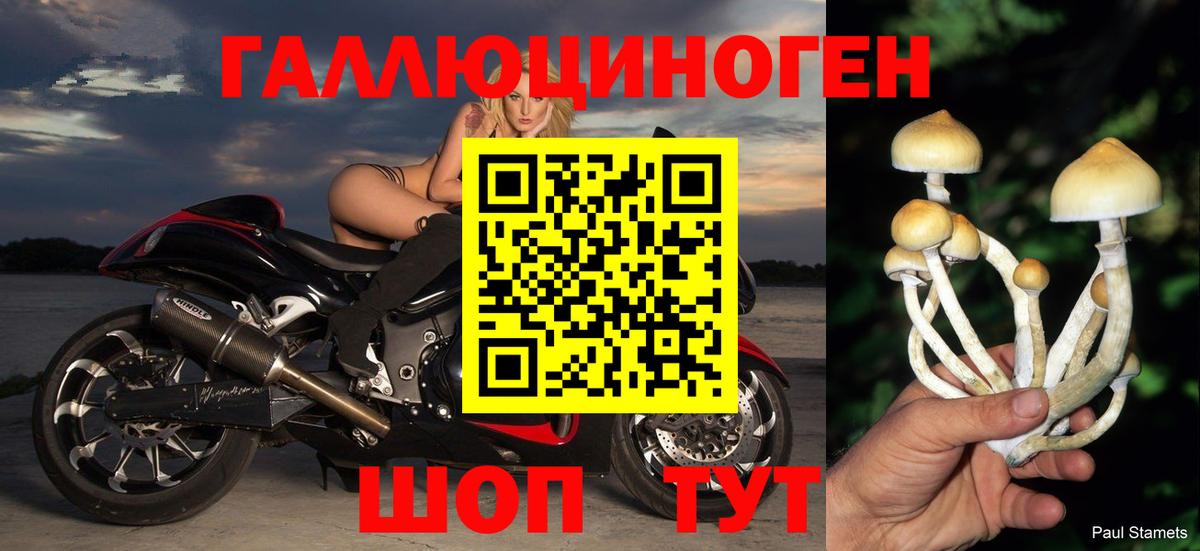 Псилоцибиновые грибы Psilocybine cubensis  Вход с VPN  Воркута 